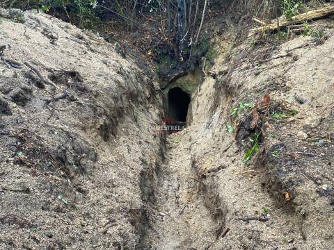 Quinta 3,5ha Sandomil