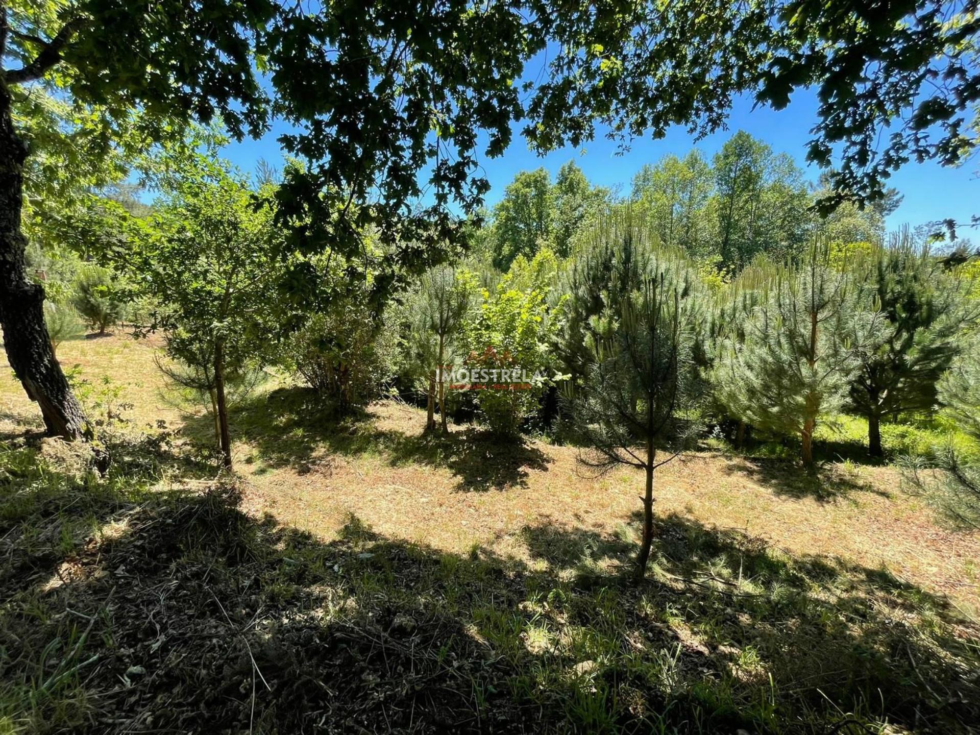 Quintinha  Venda em Carragozela e Várzea de Meruge,Seia