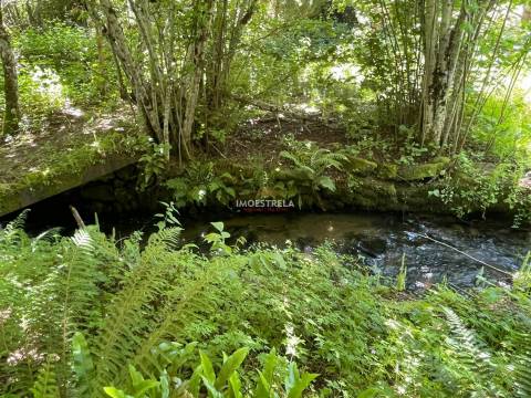 Quintinha  Venda em Carragozela e Várzea de Meruge,Seia