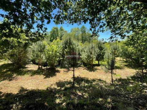 Quintinha  Venda em Carragozela e Várzea de Meruge,Seia