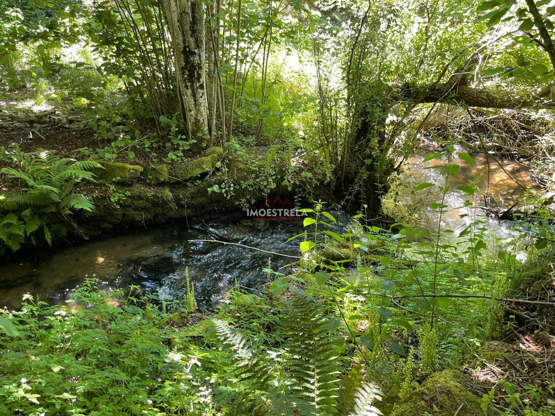 Quintinha  Venda em Carragozela e Várzea de Meruge,Seia