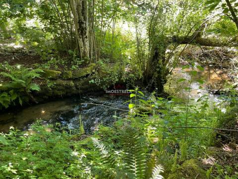 Quintinha  Venda em Carragozela e Várzea de Meruge,Seia