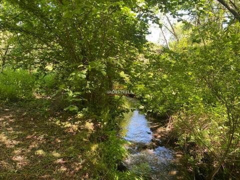 Quintinha  Venda em Carragozela e Várzea de Meruge,Seia