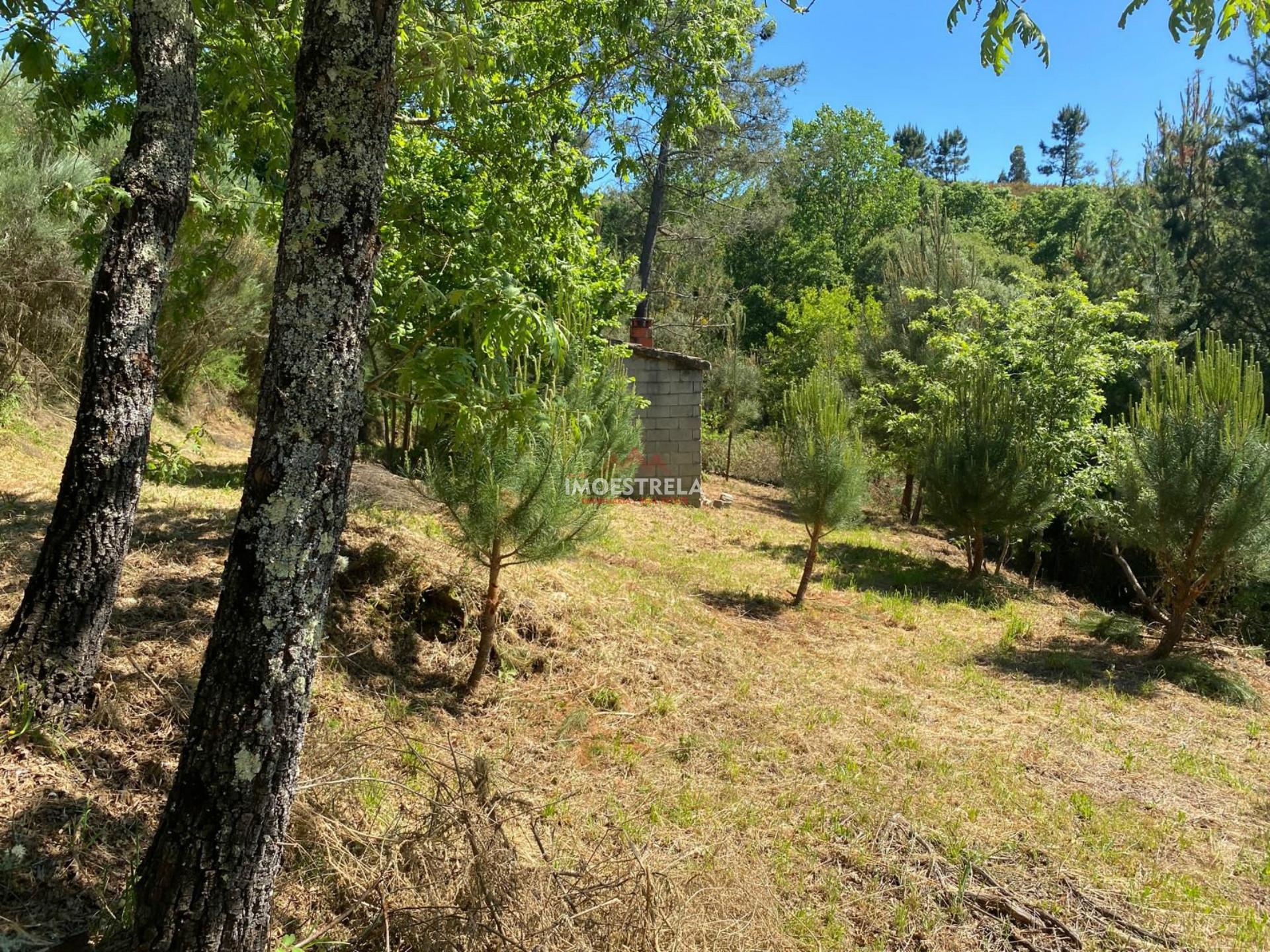 Quintinha  Venda em Carragozela e Várzea de Meruge,Seia