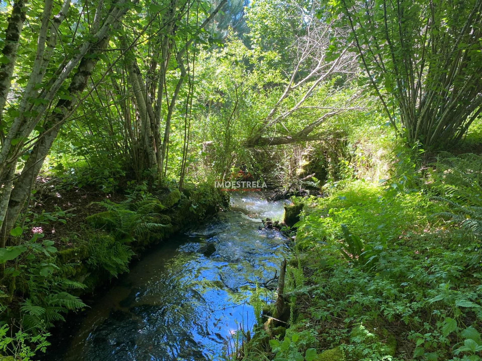 Quintinha  Venda em Carragozela e Várzea de Meruge,Seia