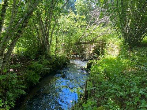 Quintinha  Venda em Carragozela e Várzea de Meruge,Seia