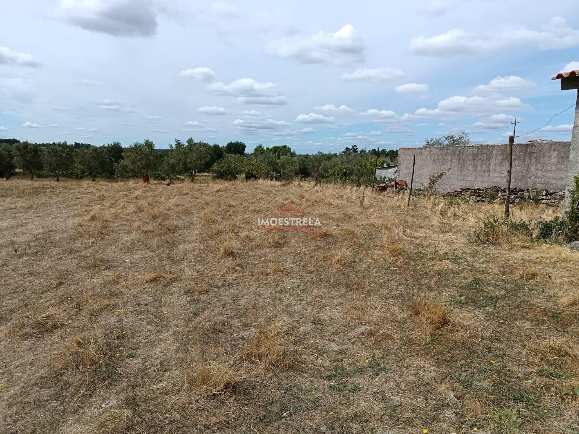 Quintinha  Venda em Santa Marinha e São Martinho,Seia