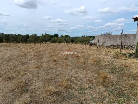 Quintinha  Venda em Santa Marinha e São Martinho,Seia
