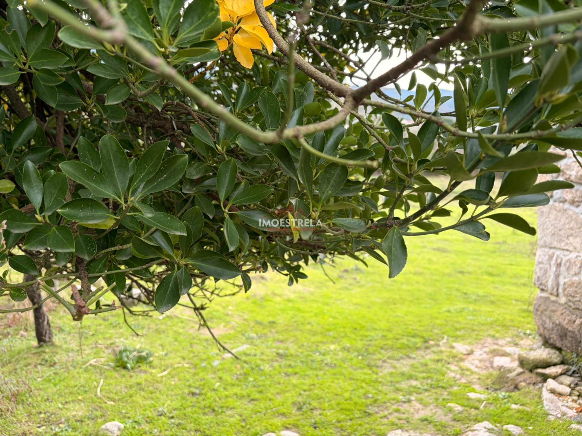 Quintinha  Venda em Santa Marinha e São Martinho,Seia