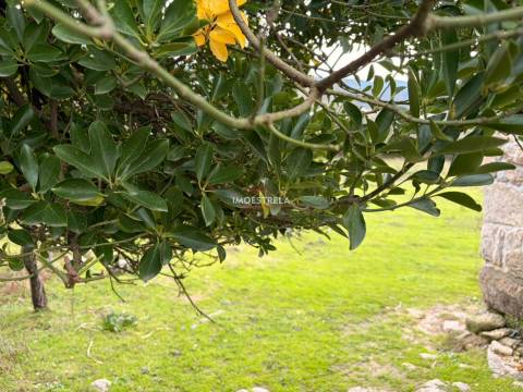 Quintinha  Venda em Santa Marinha e São Martinho,Seia