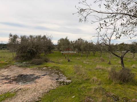 Quintinha  Venda em Santa Marinha e São Martinho,Seia