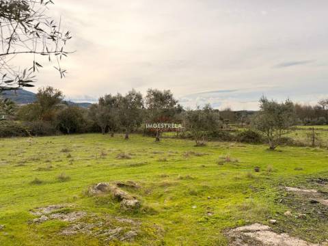 Quintinha  Venda em Santa Marinha e São Martinho,Seia