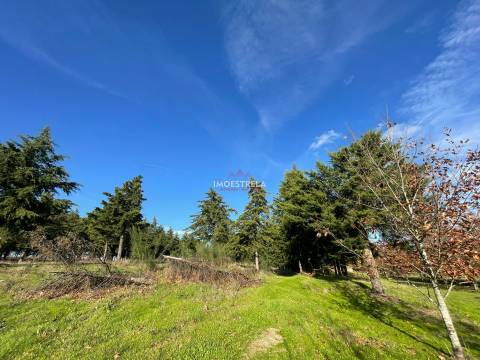 Quinta com possibilidade construção!