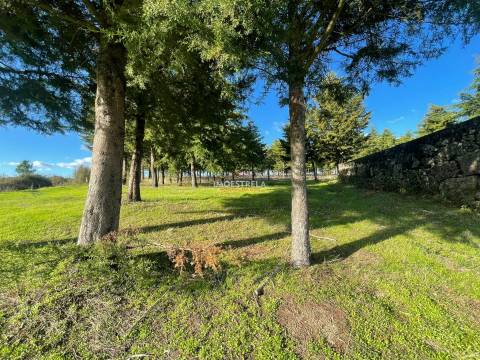 Quinta com possibilidade construção!