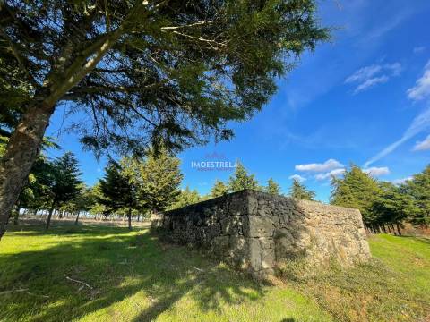 Quinta com possibilidade construção!