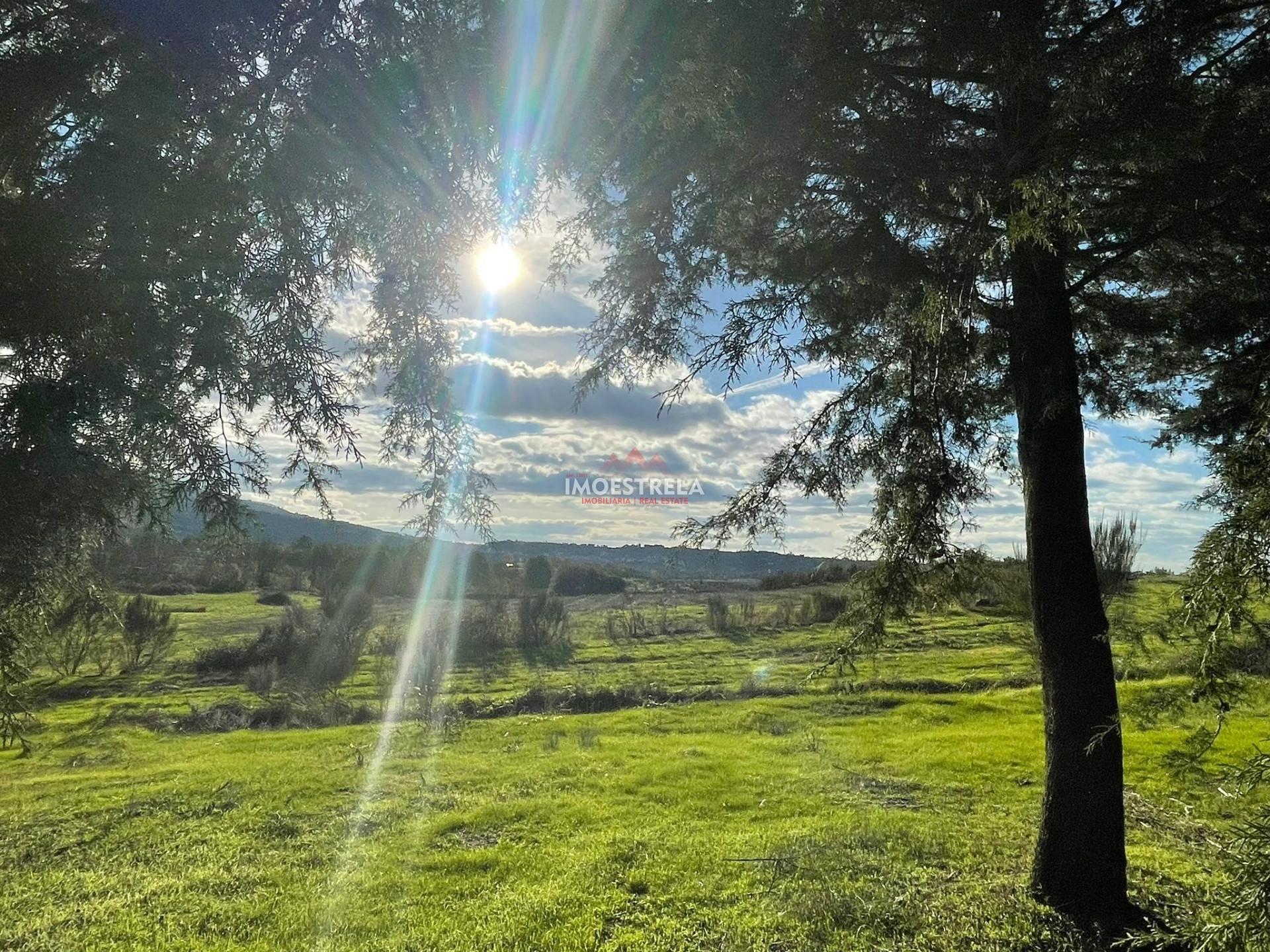 Quinta com possibilidade construção!