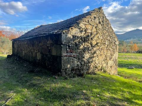 Quinta com possibilidade construção!