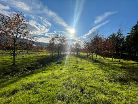 Quinta com possibilidade construção!