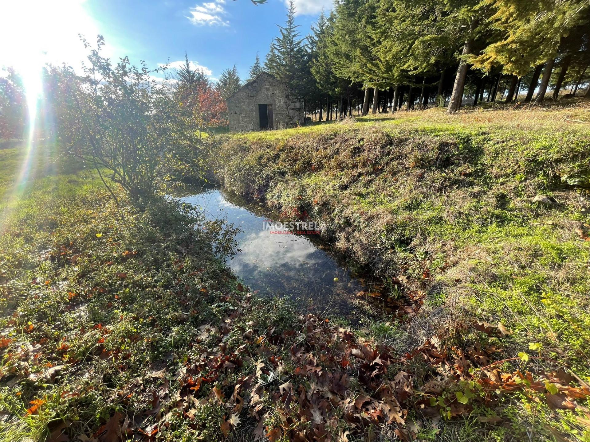 Quinta com possibilidade construção!