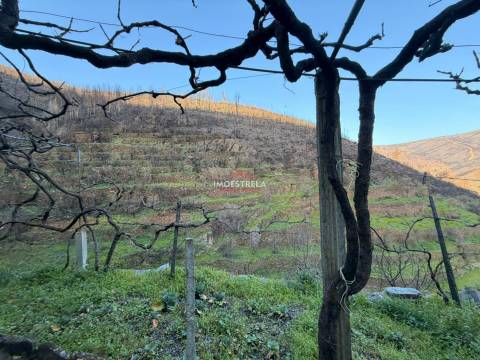 Moradia Rústica T4 Venda em Vide e Cabeça,Seia