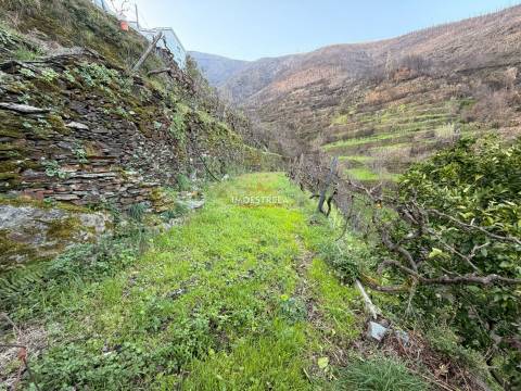 Moradia Rústica T4 Venda em Vide e Cabeça,Seia