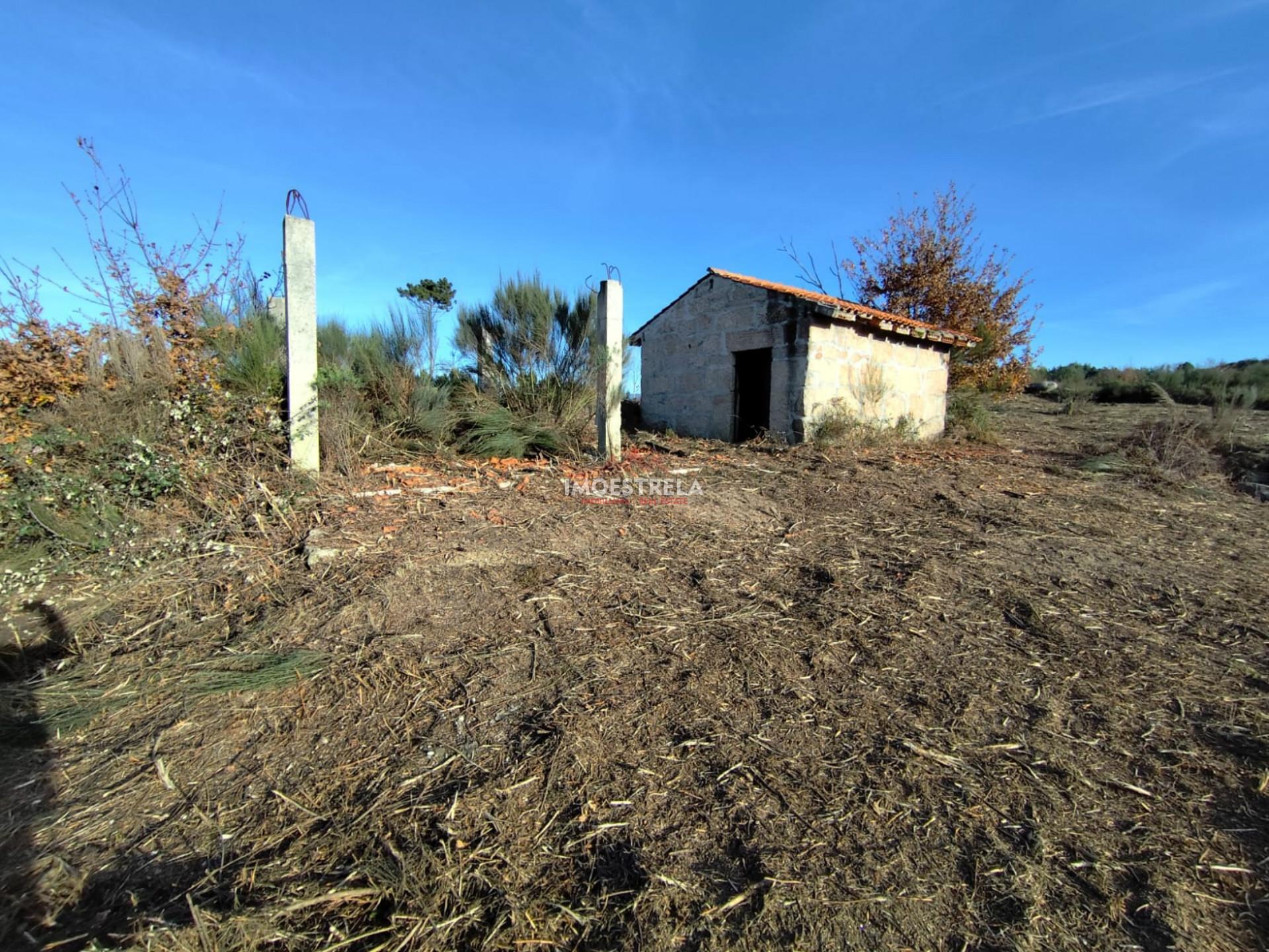 Terreno Rústico  Venda em Seixo da Beira,Oliveira do Hospital