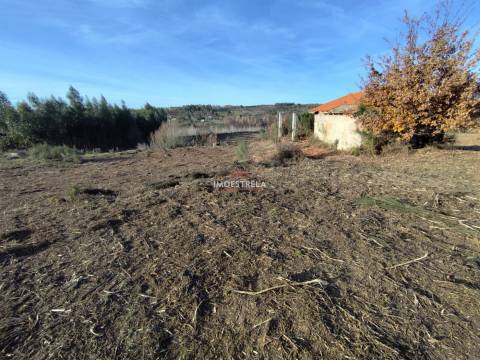 Terreno Rústico  Venda em Seixo da Beira,Oliveira do Hospital
