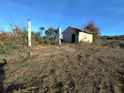 Terreno Rústico  Venda em Seixo da Beira,Oliveira do Hospital