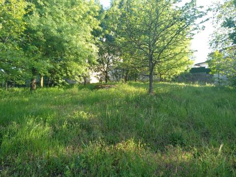 Terreno Para Construção  Venda em Mangualde, Mesquitela e Cunha Alta,Mangualde