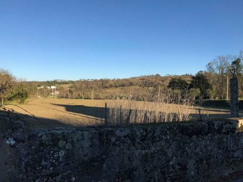 Terreno Para Construção  Venda em Senhorim,Nelas