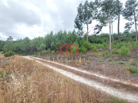 Terreno Rústico  Venda em Mangualde, Mesquitela e Cunha Alta,Mangualde