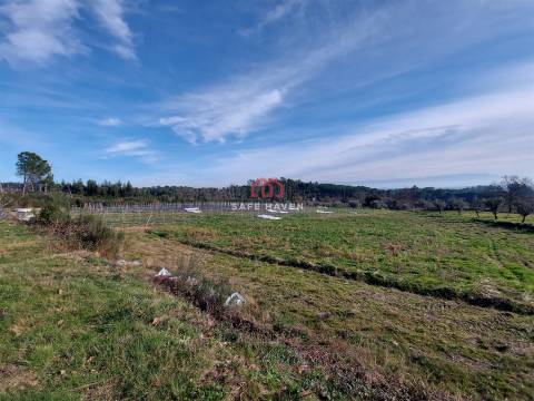 Terreno Rústico  Venda em Fornos de Maceira Dão,Mangualde