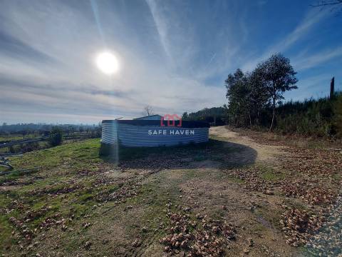 Terreno Rústico  Venda em Fornos de Maceira Dão,Mangualde