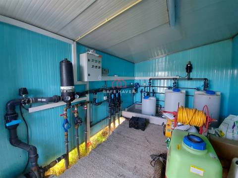 Terreno Rústico  Venda em Fornos de Maceira Dão,Mangualde