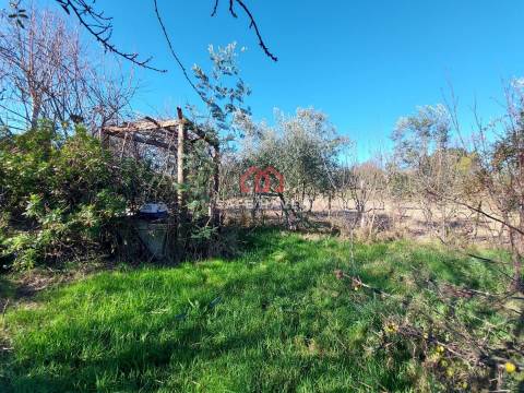 Terreno Para Construção  Venda em Mangualde, Mesquitela e Cunha Alta,Mangualde