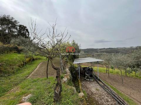 Quintinha T0 Venda em Alcafache,Mangualde