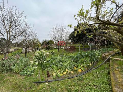 Quintinha T0 Venda em Alcafache,Mangualde