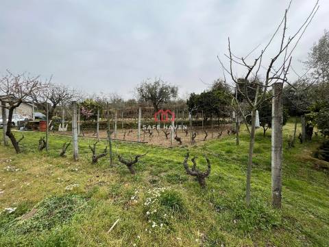 Quintinha T0 Venda em Alcafache,Mangualde