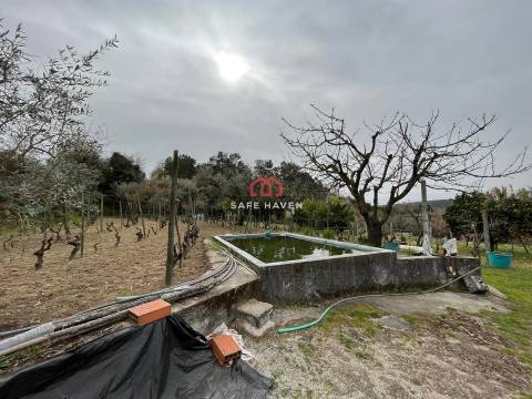 Quintinha T0 Venda em Alcafache,Mangualde