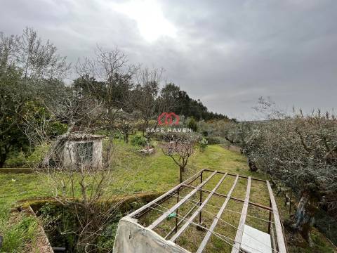Quintinha T0 Venda em Alcafache,Mangualde