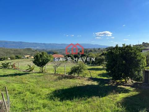 Terreno Rústico  Venda em Abrunhosa-a-Velha,Mangualde