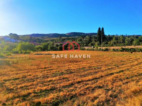 Terreno Rústico  Venda em Abrunhosa-a-Velha,Mangualde