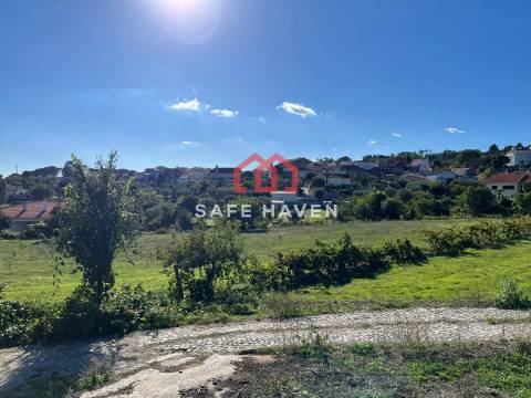 Terreno Rústico  Venda em Abrunhosa-a-Velha,Mangualde