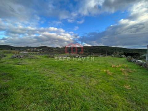 Terreno Para Construção  Venda em Mangualde, Mesquitela e Cunha Alta,Mangualde