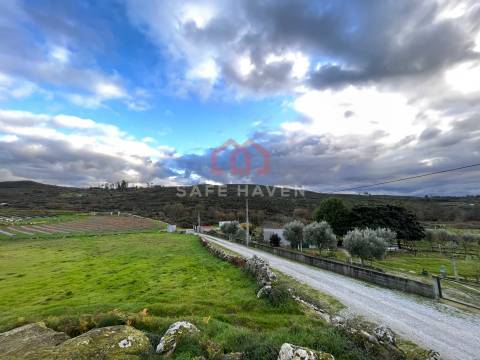 Terreno Para Construção  Venda em Mangualde, Mesquitela e Cunha Alta,Mangualde