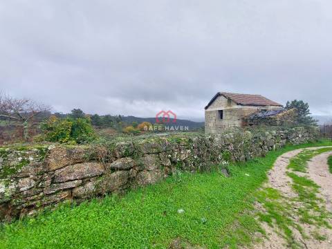 Quintinha  Venda em Santiago de Cassurrães e Póvoa de Cervães,Mangualde