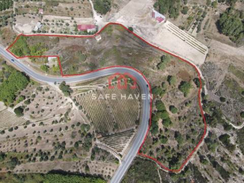 Quintinha  Venda em Santiago de Cassurrães e Póvoa de Cervães,Mangualde