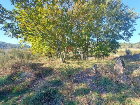 Quintinha  Venda em Santiago de Cassurrães e Póvoa de Cervães,Mangualde