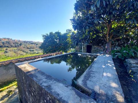 Moradia T3 Venda em Rio de Moinhos,Sátão