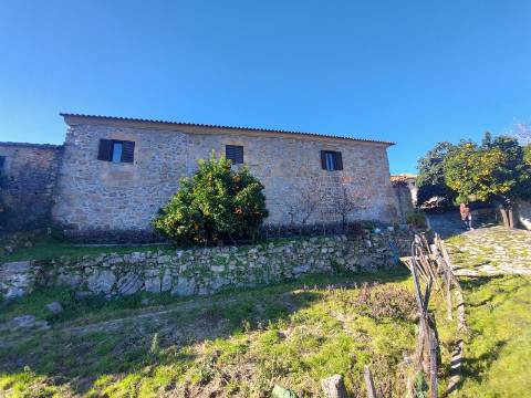 Moradia T3 Venda em Rio de Moinhos,Sátão